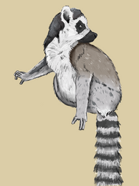 Digital Lemur Illustration